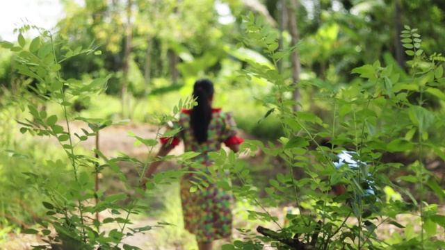 Rambutan! Yummy Sweet recipes from juicy red rambutan fruit | Pulasi - Village Life смотреть онлайн