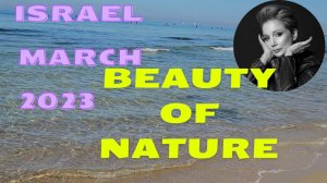 BEAUTY OF NATURE/Sea, Flowers and Birds/Природа/Цветы, птицы, и не только. Israel March 2023