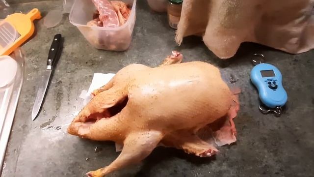 Утка мулард чистый вес в 63 дня. смотреть онлайн