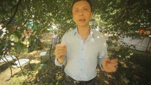 Троица. Все Живое 2014. Сбор средств на Planeta.ru