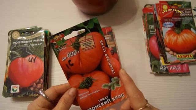 КАКИЕ ТОМАТЫ САЖАЛА И БУДУ САЖАТЬ ОБЗОР СЕМЯН ЧАСТЬ 1. смотреть онлайн