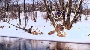 «Берёзовый сок» - песня из фильма «Мировой парень» 1971 год
