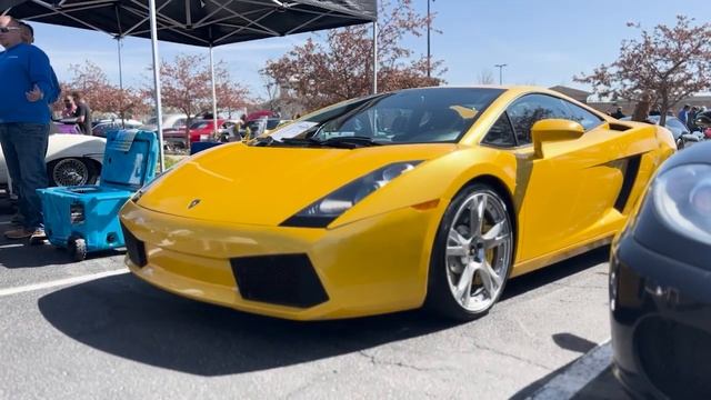 A dog, some cars & helicopters смотреть онлайн