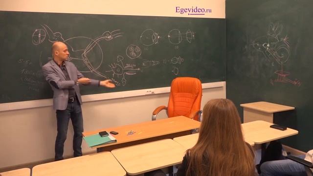 Строение соматической нервной системы. Рефлекторная дуга
