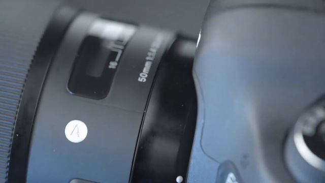 Photografer Belarus смотреть онлайн