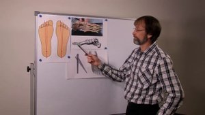 Русская школа ортопедии. Лекция 3. Главные оси стопы