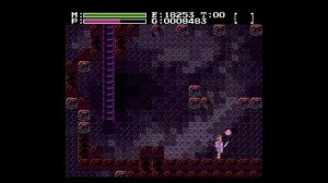 [Обзор] Faxanadu (NES \ Famicom)