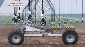 Площади производства гибридов DEKALB в России увеличились в 2 раза в 2017 году