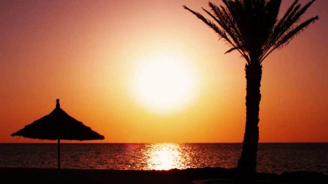 Elevator music loop 2 (Ibiza beach hotel lounge etc. whatever) смотреть онлайн