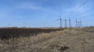 Металло коп .mp4