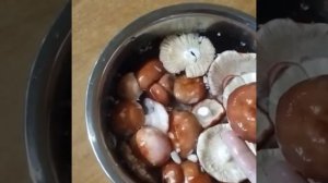 Салат из сыроежек ? ням-ням!!!