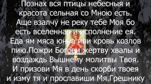 ВСЕ ВРАГИ ОТ ЭТИХ СЛОВ БЕГУТ КАК ОТ ОГНЯ слова которые защитят вас от ваших враг
