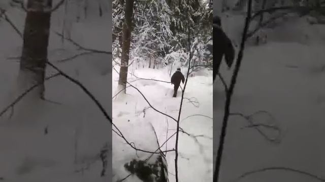 Вездеход ТДН мосты УАЗ на старой лесной дороге зимой.