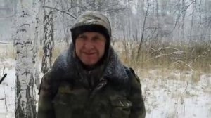 Зимняя охота на кабана с лайками