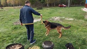 Третья часть ВЫЖИВАНИЯ на черничном ХУТОРЕ. Лучший АГРОТУРИЗМ agritourism