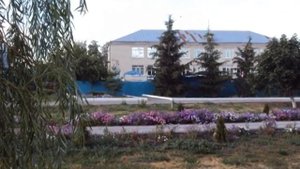 Ирина Круг. Ива.