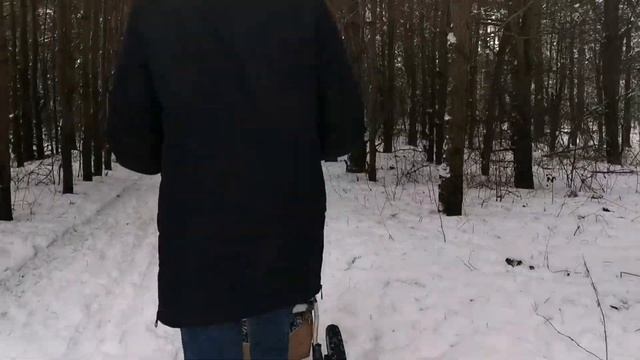 КРАСОТА В СНЕЖНОМ ЛЕСУ! НАША ФОТОПРОГУЛКА! Семейная вылазка SNOWY FOREST 2021 PHOTOWALK BELARUS