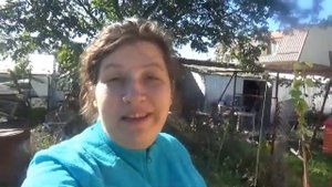 Сколько весят БРОЙЛЕРЫ КОББ500 в 17 дней?