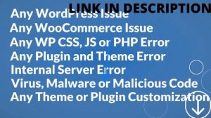 I will fix any wordpress website issues or errors in 24 hrs