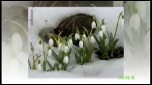 Весенняя (С первым днём весны!).mp4