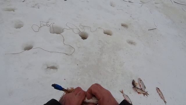 Проверяем сеть . + Экраны..... смотреть онлайн