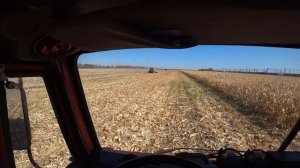 ДОСТОЙНЫЙ ФИНАЛ Уборки Кукурузы 2023 /  Результат Порадовал /КСС 5291 Превзошел все ожидания