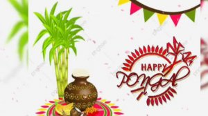 #Wish You All Happy Pongal // #Pongal 2020 Whatsapp status video