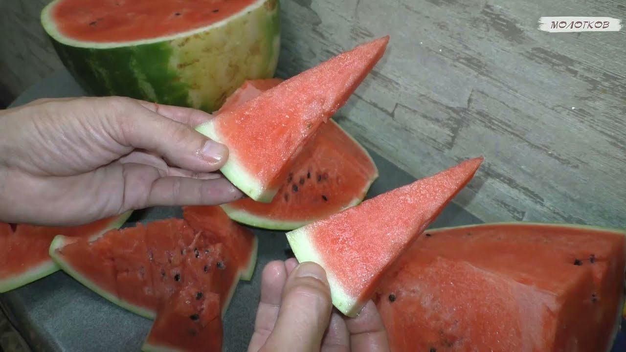 Как быстро нарезать арбуз без косточек смотреть онлайн