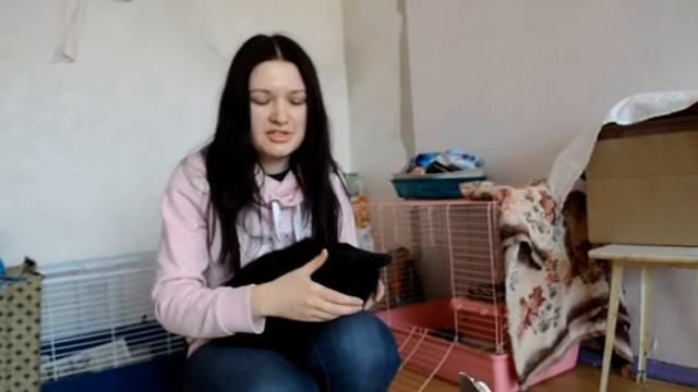 Школа Росатома - территория добра. Волонтёры МБОУ "СОШ №109" помогают пункту передержки г. Юрюзань смотреть онлайн