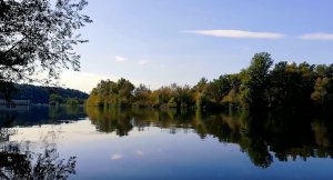 Звуки природы. Пение птиц. Отдых на реке. Пение птиц для расслабления и сна.