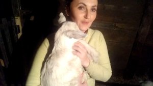 Девичье молоко у новорожденных коз.Что делать?