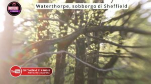 LITIGANO PER UN ALBERO, IL VICINO LO TAGLIA A META’ si riempie di turisti che vogliono fare una fot