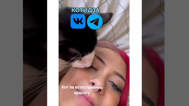 Кот за естественную красоту