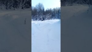 Мотособака барс.с модулем