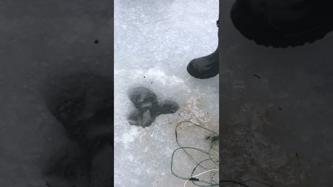 ДОСТАЛИ ЛЕЩА И ОТПУСТИЛИ смотреть онлайн