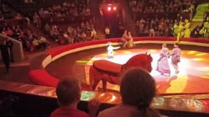 Город Пермь! Пермский Государственный Цирк!!! Цирковое Шоу "ЭПОХИ" Примера. Часть 1.