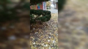 Феодосия: едем на электричке Айвазовская- ЖД Вокзал Феодосия #крым #феодосия