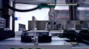 Плесень [Сергей Малоземов]