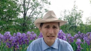 Зачем нужна борода и стоит ли брить бороду.