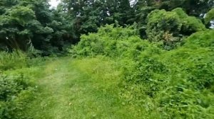 В двух минутах от дома у нас такая красота ! Элла Австралия