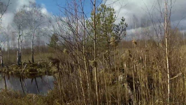 На затопленных полянках смотреть онлайн