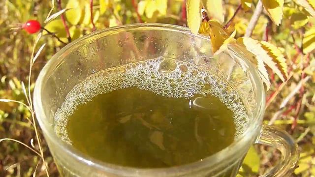 Доброе хлорофилловое утро! смотреть онлайн