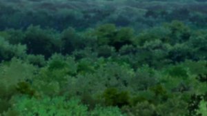 [Неудача #132] Наруто Слишком СИЛЬНО Изменил САКУРУ Учиха! | Альтернативный Сюжет Наруто