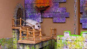 Побег хомяка - Hamster Escapes the Underground Maze