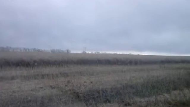 Яровой рапс Сальса видео уборочной рапсовый стол