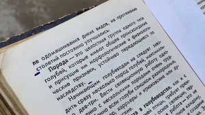 Мелитопольские голуби. Порода, стандарт, селекция и отбор…