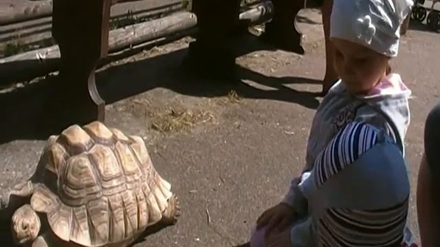 Таллинский зоопарк смотреть онлайн