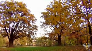 Игорь Корнилов После бала