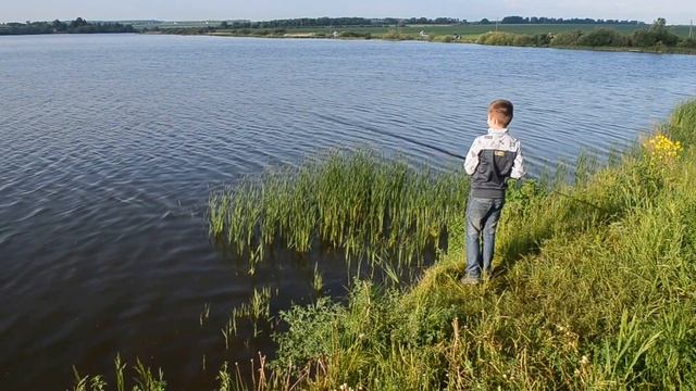 Тестовое видео фотоаппарата Nikon D5100 смотреть онлайн