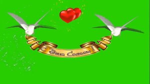 Скачать футаж С Днём Свадьбы голуби хромакей